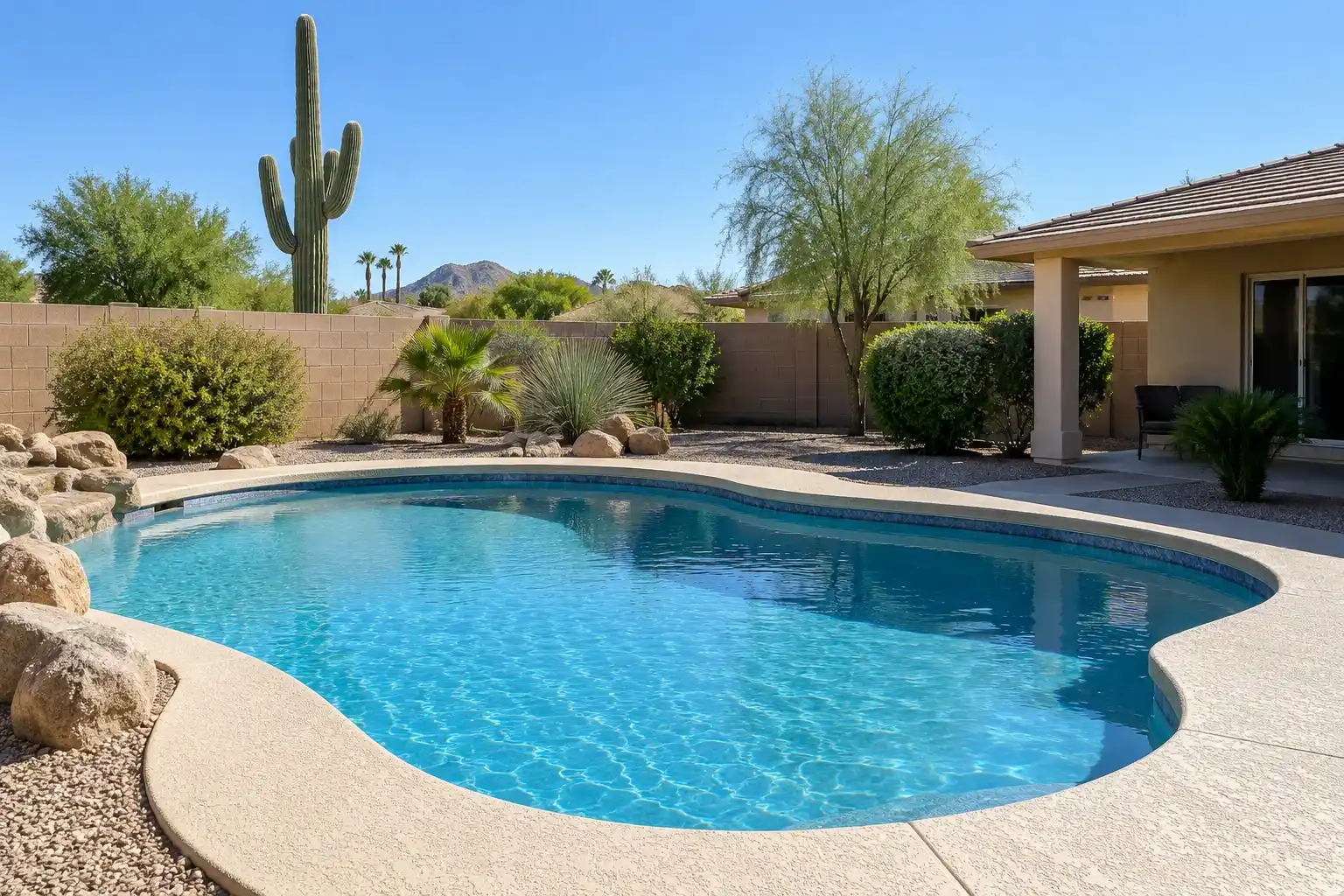 Kidney shaped pool behind a ranch house, a tall saguaro and desert plants along the wall